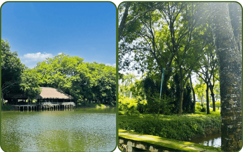 Goi-y-4-dia-diem-chup-anh-vinh-long-can-tho-ban-ne-biet
